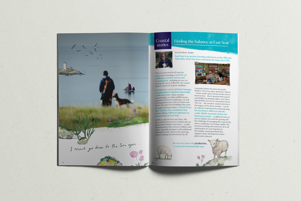 South West Coastal Festival National Trust Booklet Design, sail boat, seaside illustration