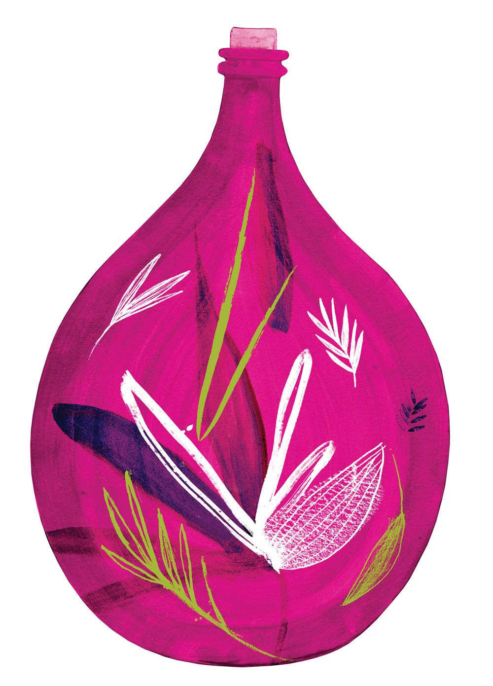 Made For life Organics Pink Demijohn hand painted illustration by Wild Bear Designs