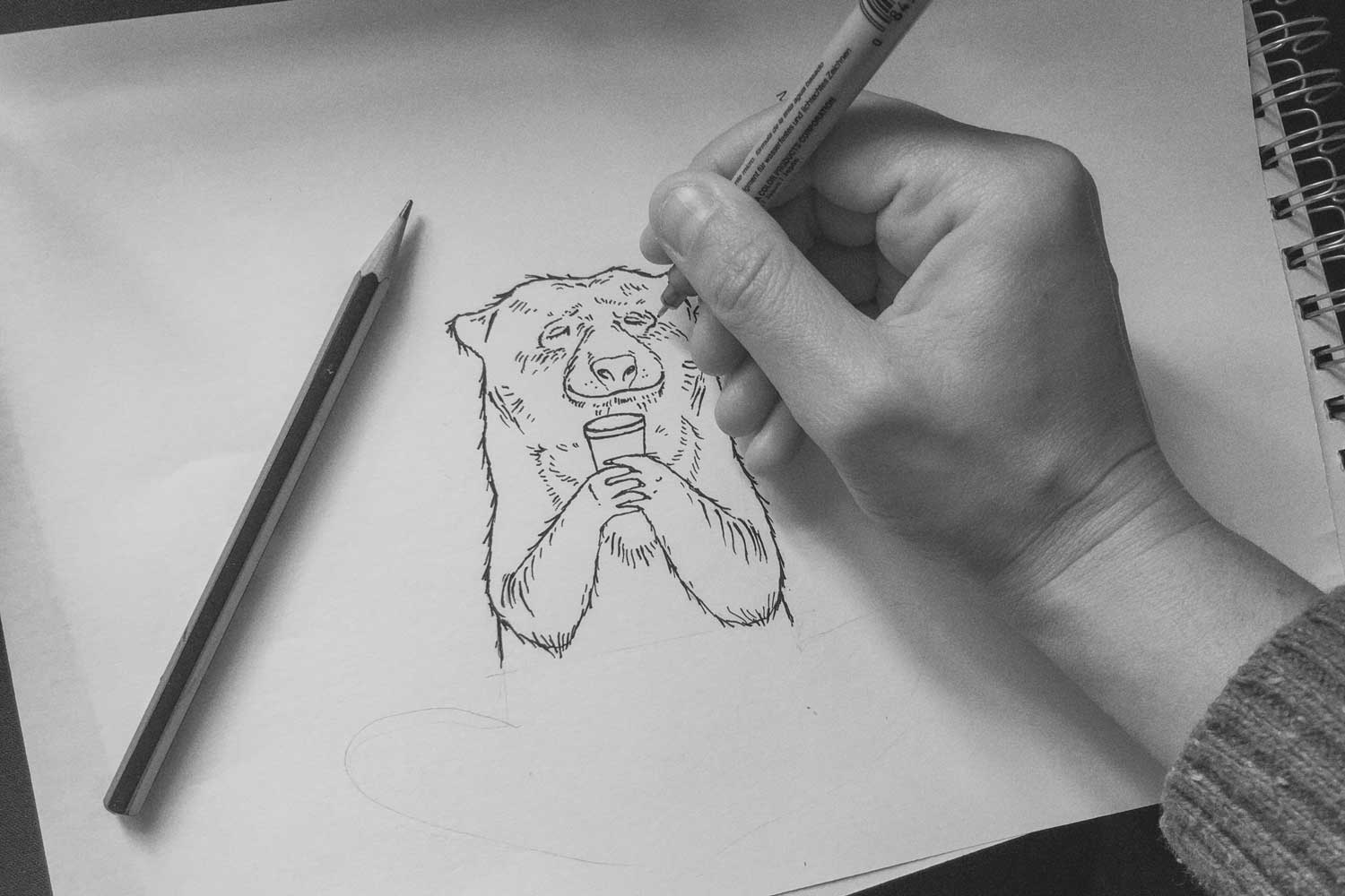 Ixora-Coffee-hand-drawn-Bear-illustration-Wild-Bear-Designs