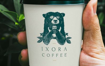 Ixora-Coffee-branding-bear-illustration-feature